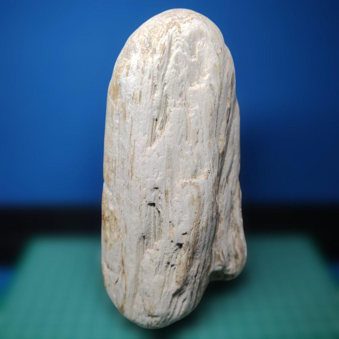 鳥海山由来の珪化木、「白き峰」管理No.80324