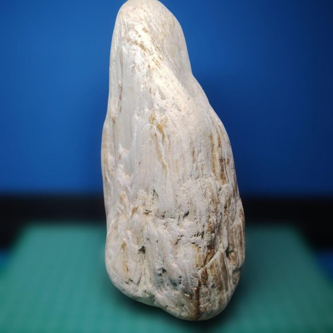 鳥海山由来の珪化木、「白き峰」管理No.80324