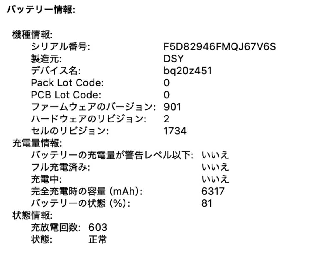 MacBook本体 MacBook Pro 15.4 Core i9 32GB 256GB