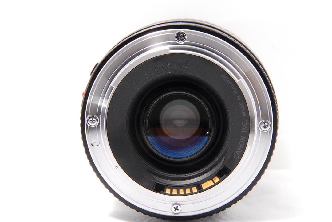 スマホだと届かない距離へ　Canon キャノン EF 75-300mm Ⅲ