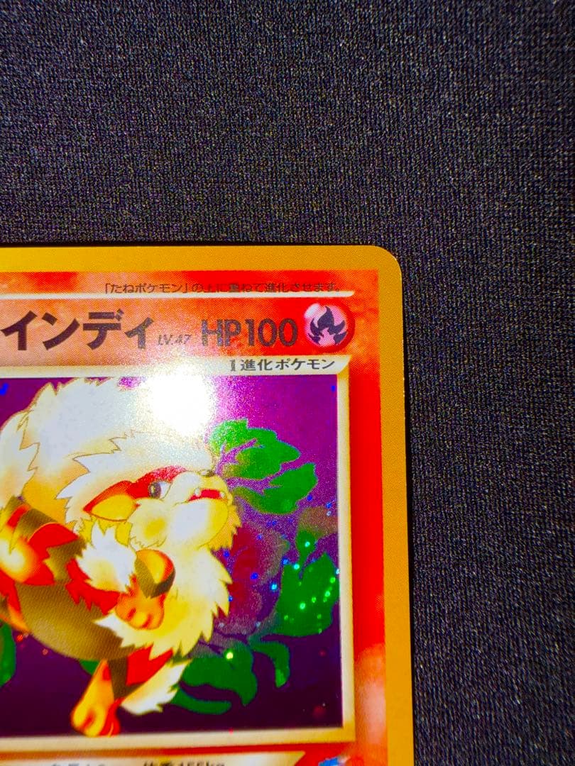 【美品】やさしいウインディ ★ 拡張パック第4弾 闇、そして光へ… 旧裏