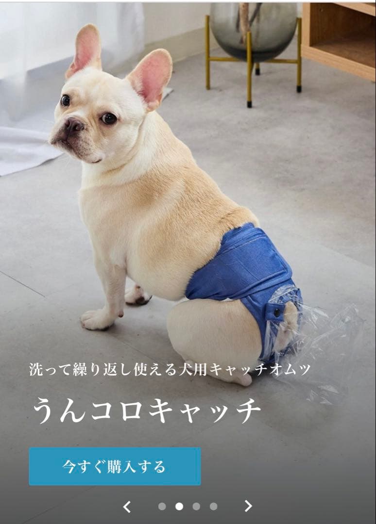 うんコロキャッチ マナーパンツ