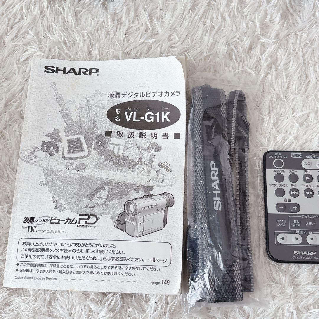 ジャンク品 】SHARP VL-G1K デジタルビデオカメラ Mini DV