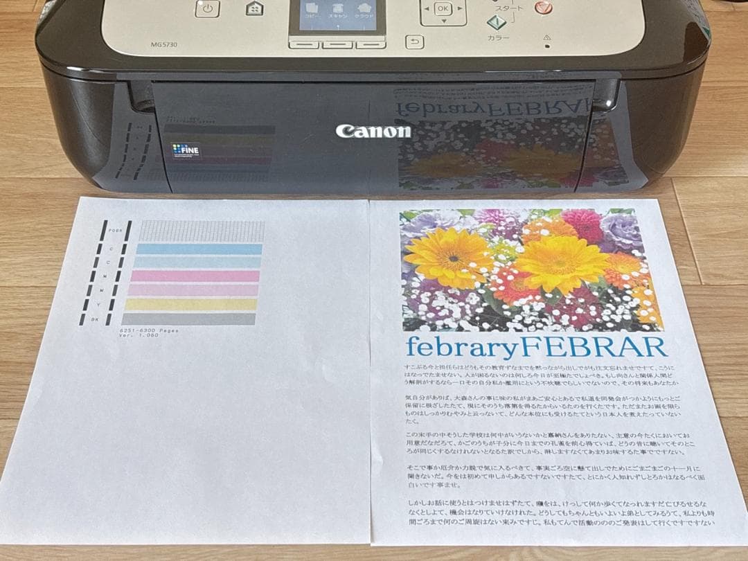 Canon MG5730　美品　複合機 プリンター　キャノン PIXUS