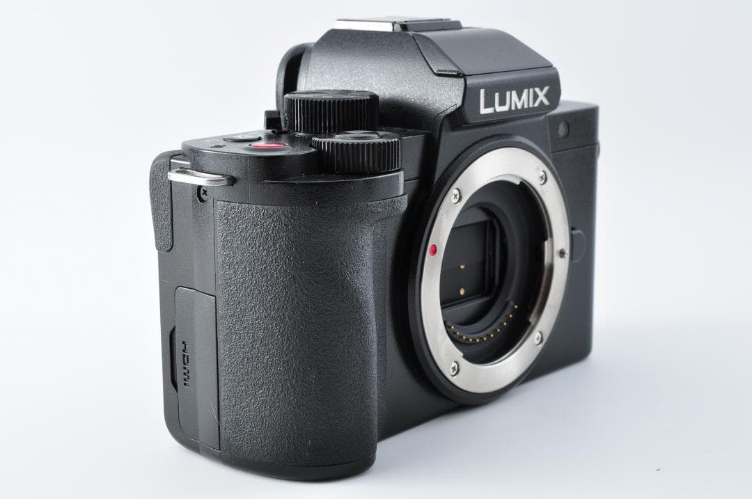 Panasonic LUMIX DC-G100 ミラーレス一眼レフ#1252