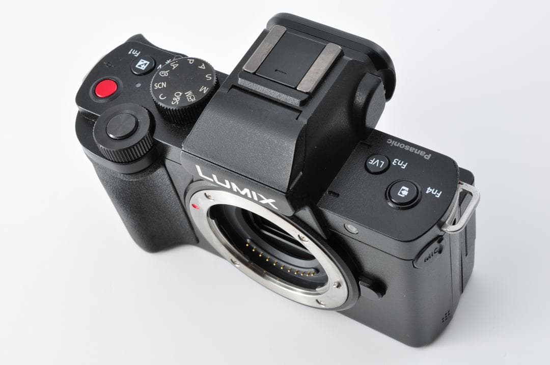 Panasonic LUMIX DC-G100 ミラーレス一眼レフ#1252