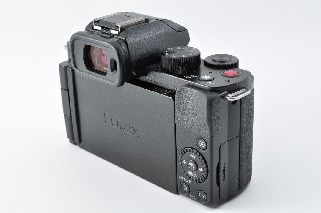 Panasonic LUMIX DC-G100 ミラーレス一眼レフ#1252