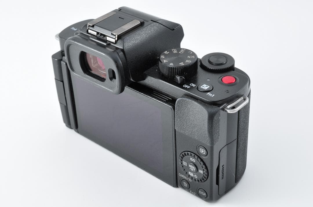 Panasonic LUMIX DC-G100 ミラーレス一眼レフ#1252