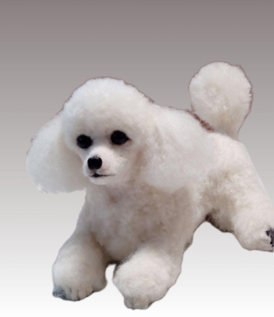 愛犬さんの羊毛オーダー・受注制作・わんちゃん