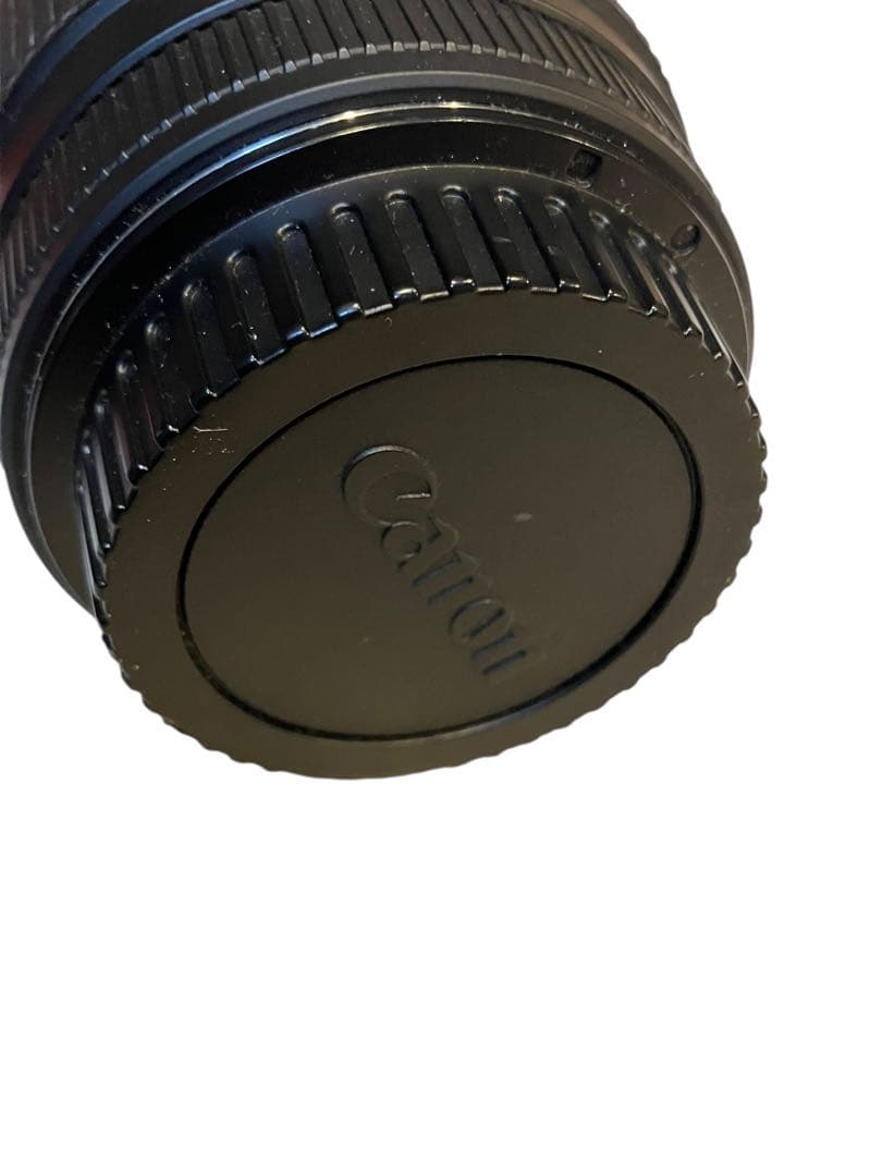 SIGMA70-300mm f/4-5.6 DGズーム キャノンEFマクロ