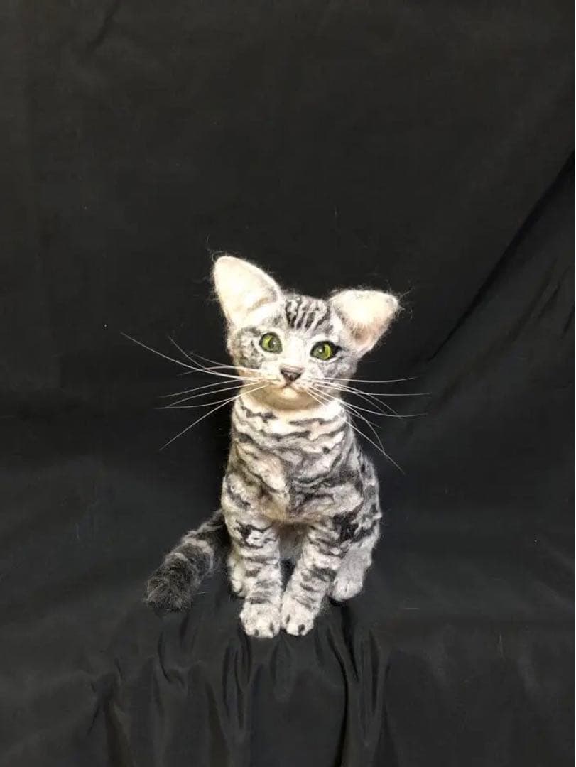 羊毛フェルト　アメショー　アメリカンショートヘア　猫　オーダー　うちの子