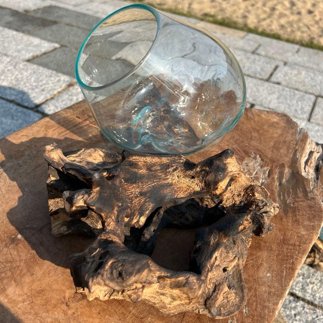 訳あり 流木ガラス オブジェ中Q 花瓶 金魚鉢 ガーデニング テラリウム 観賞魚