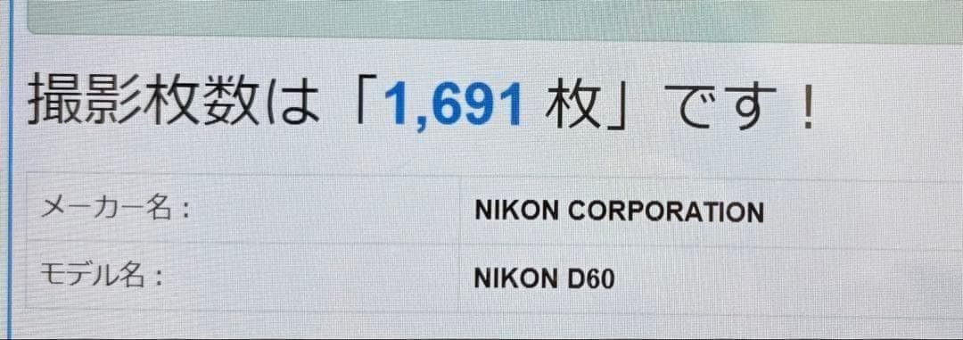 少シャッター数✨Nikon D60✨シングルレンズ✨一眼レフデビューに