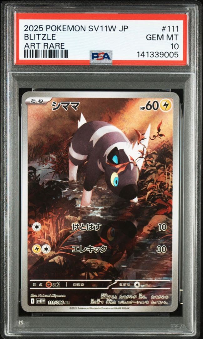 【PSA10/2連番】シママ ゼブライカ AR ホワイトフレア