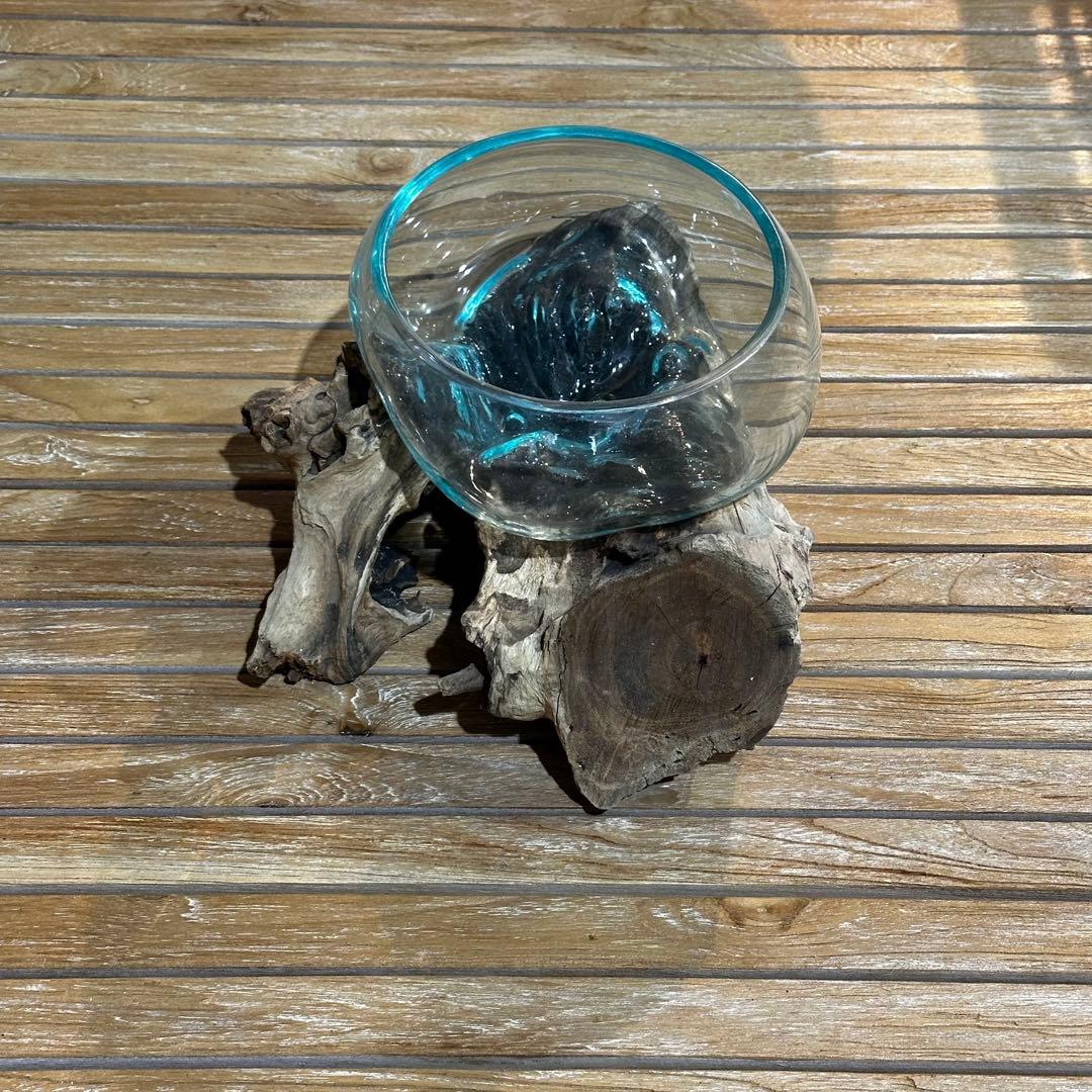 【送料込】バリ島流木ガラス　ガラスΦ20cm前後 苔リウム205Eアクアリウム