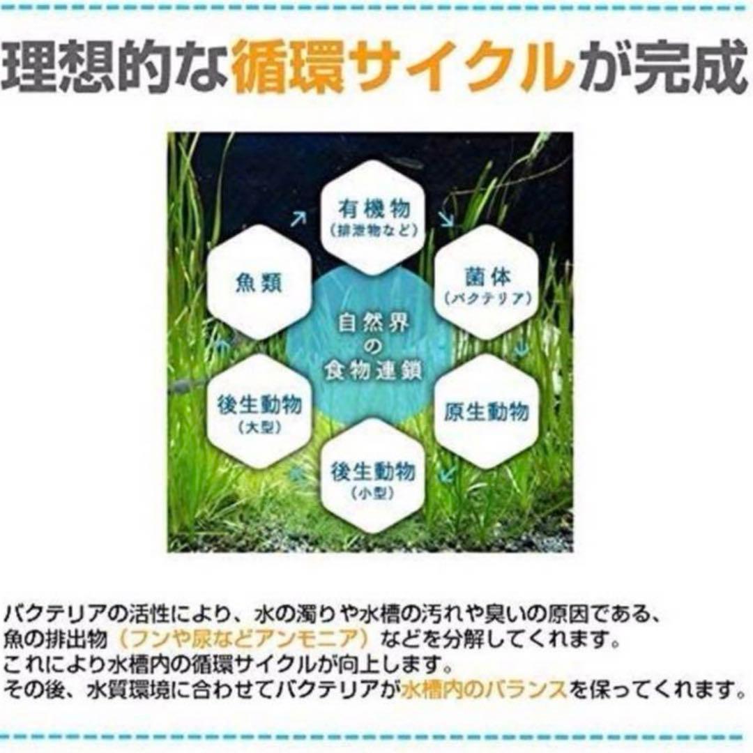 ●バクチャー パウダー ★水質浄化活性剤 ばくちゃー ばらまくちゃー 120g