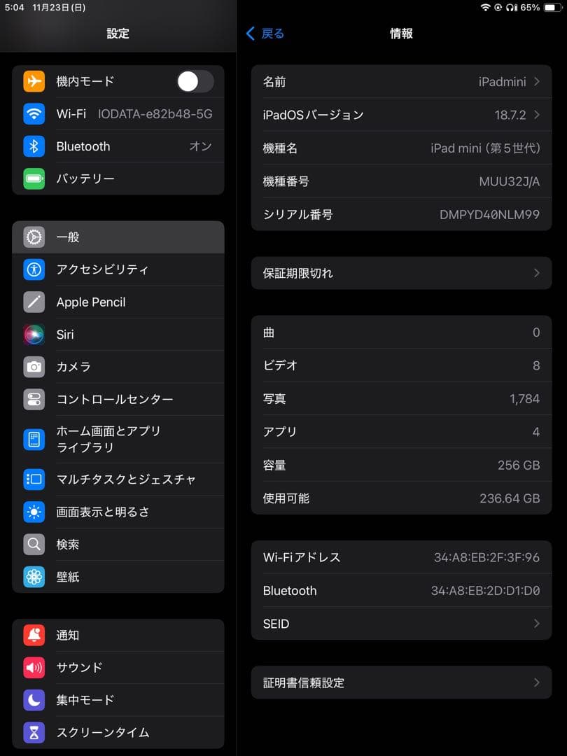 Apple iPad mini 第5世代256GBバッテリー92%