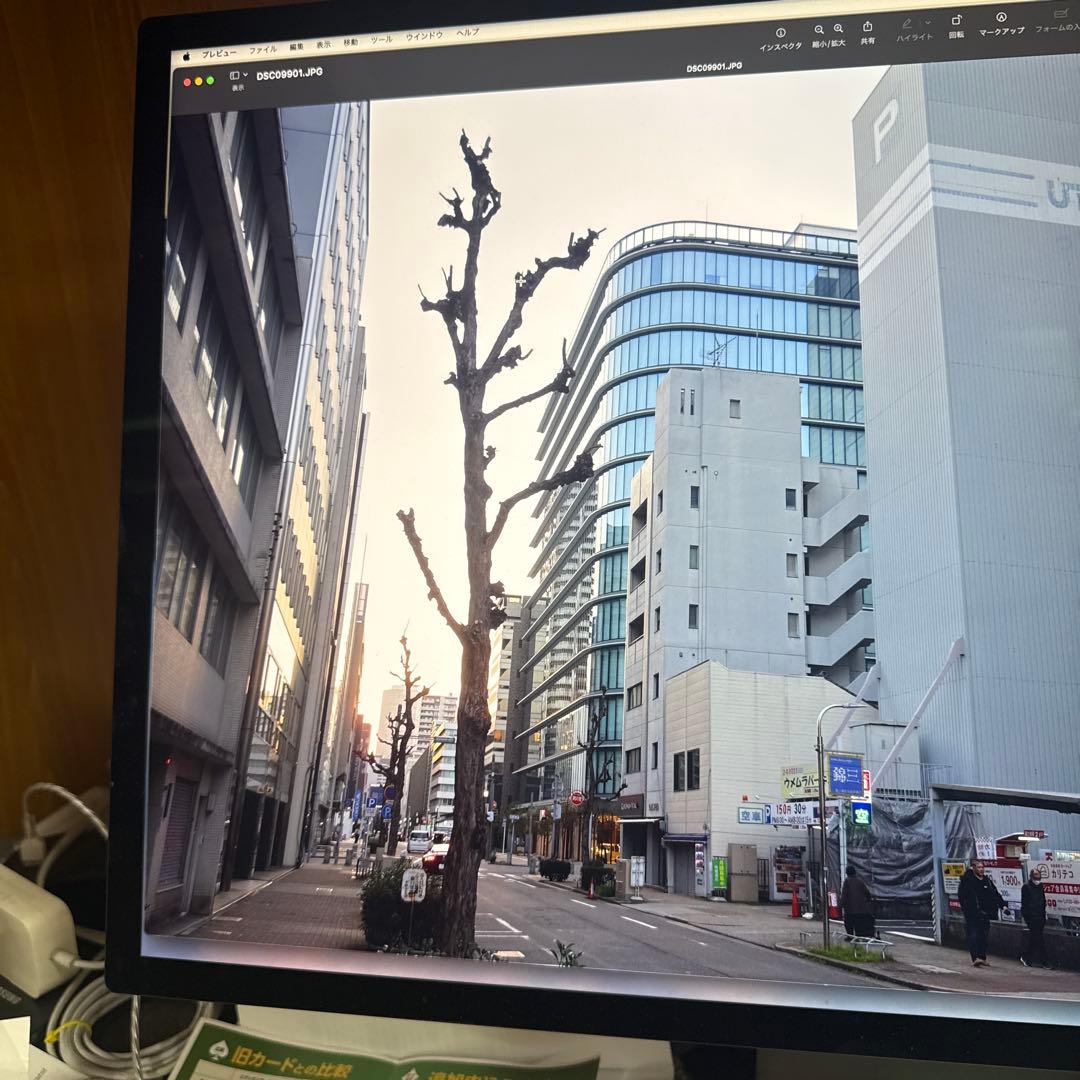 ナ*様 SONY Cyber shot DSC-RX100