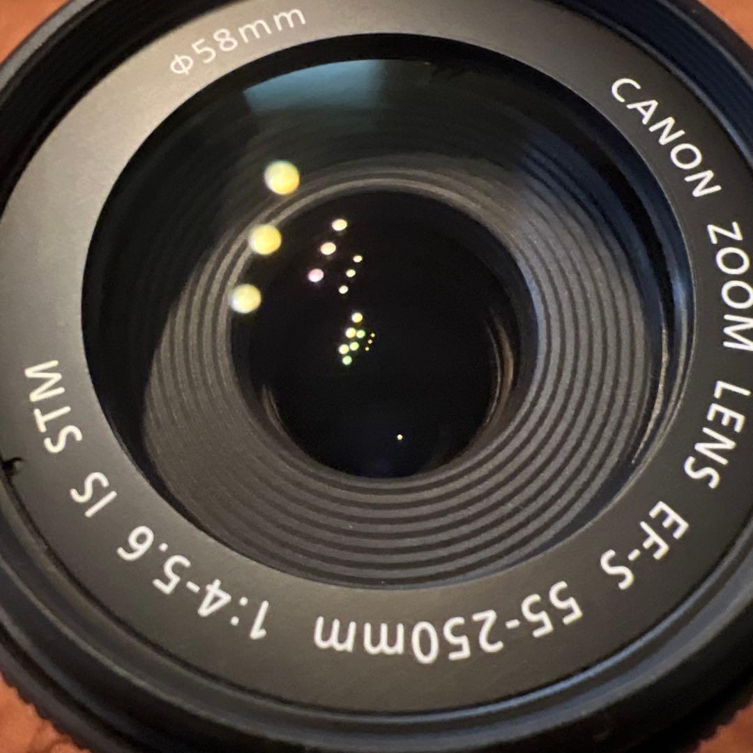 Canon EF-S 55-250 mm IS STM 純正フード　ET-63