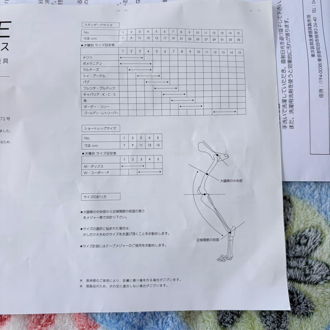 ACL BRACE 犬　補装具