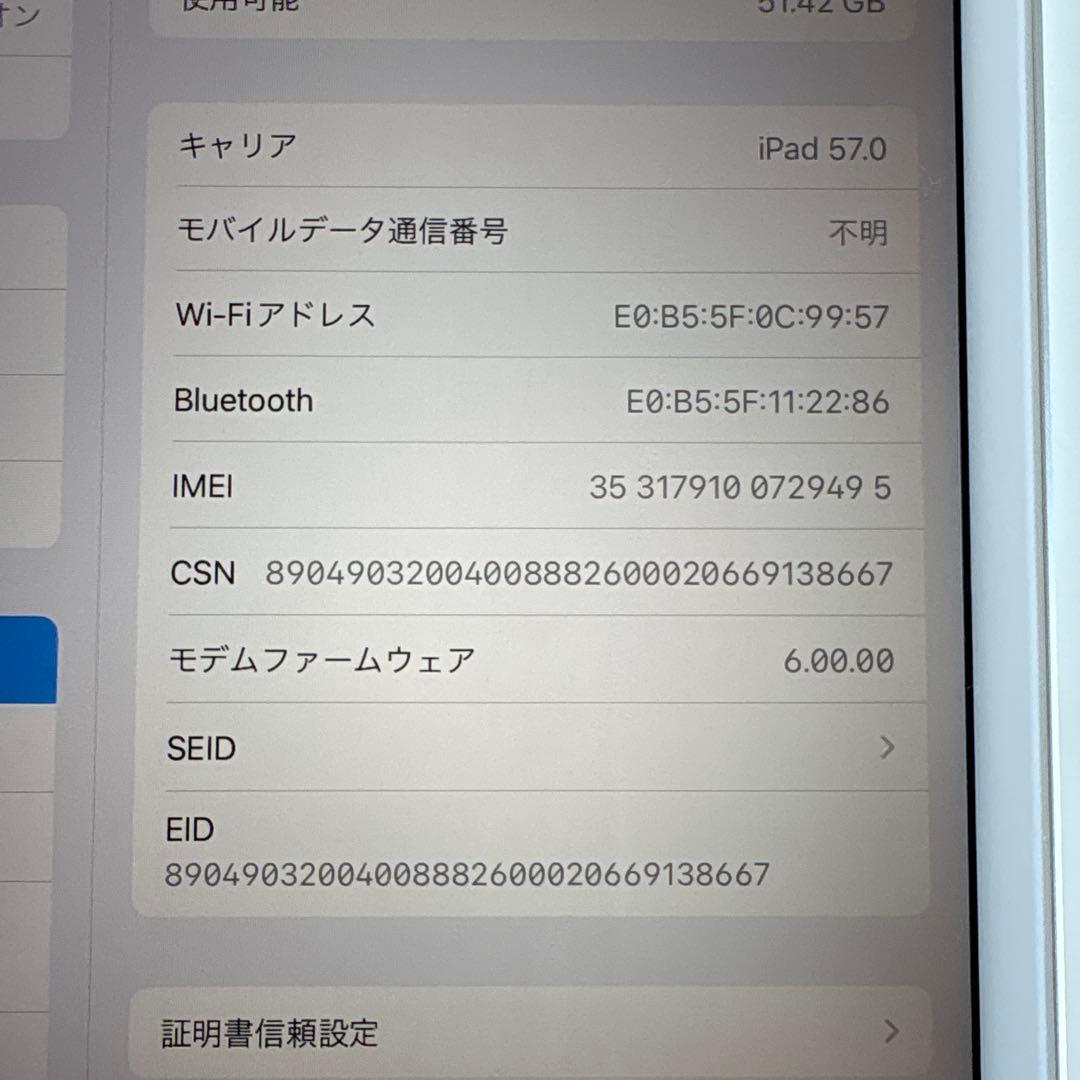 【美品】iPad mini5 セルラー 64GB SIMフリー