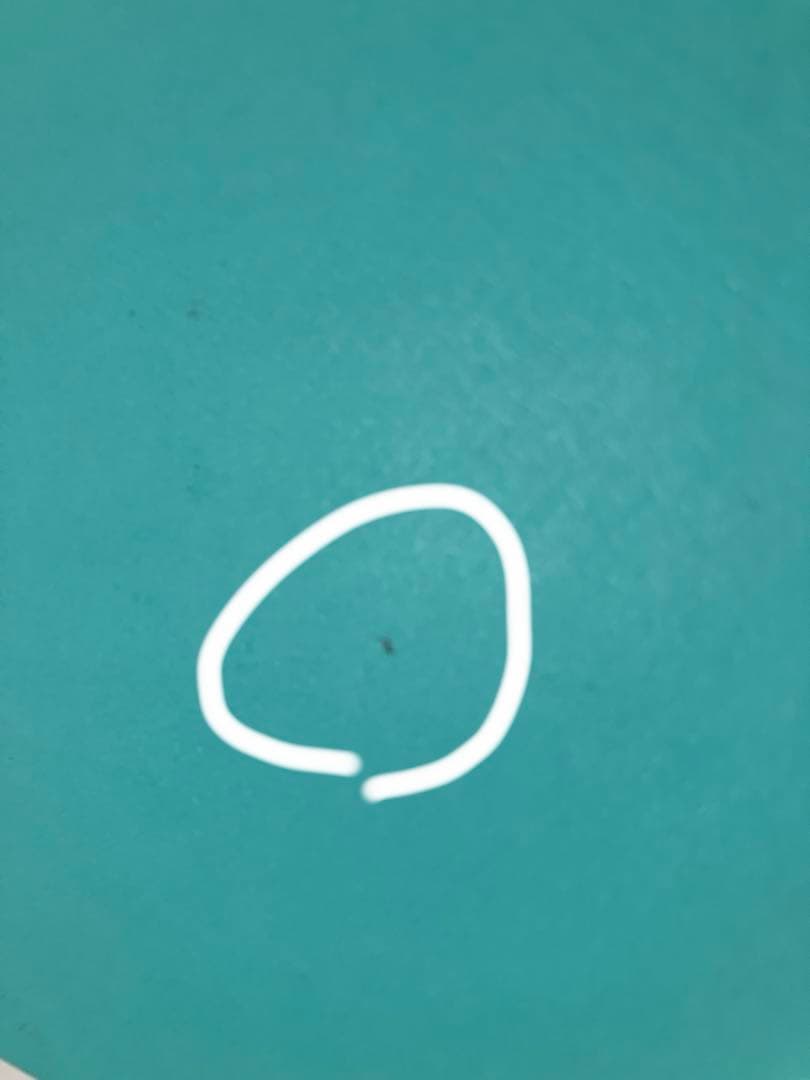 Tiffany ティファニー　バングルケース空箱