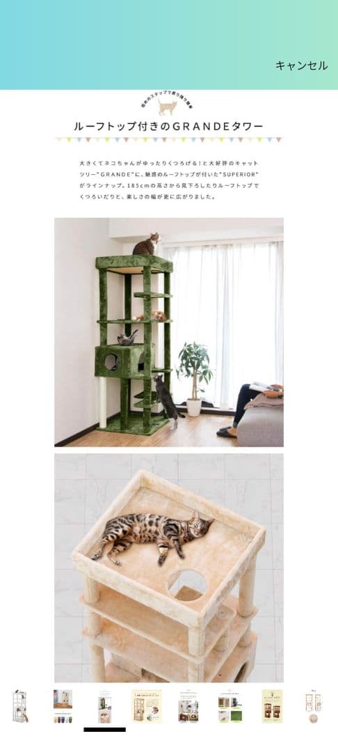 【予約②】大型猫、シニア猫、多頭飼い用 キャットタワー （ホワイト）