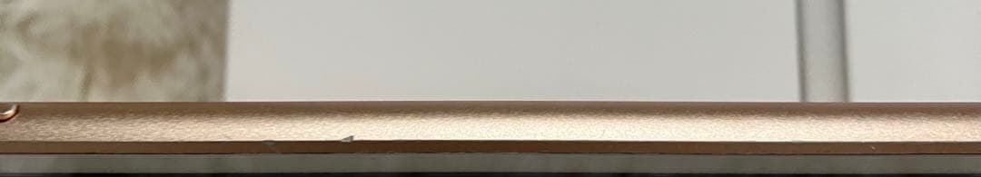 【1台限定】iPad mini5 64GB SIMフリー 【すぐ発送】【付属品】