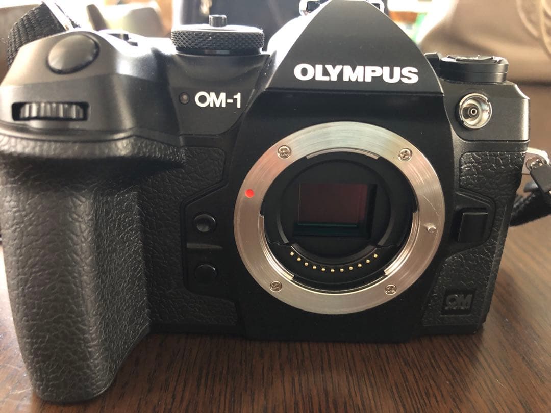 オリンパスOM SYSTEM OM-1 、12-100mmF4.0 IS PRO