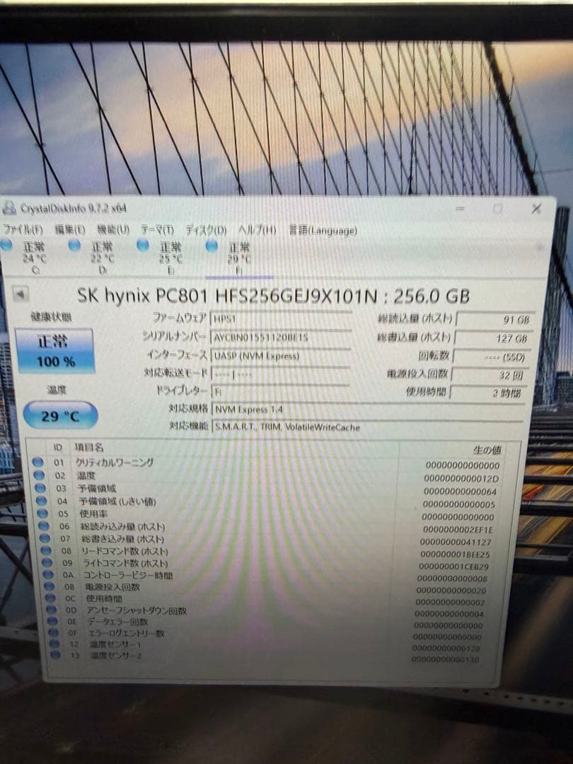 SK hynix PC801 256GB SSD Gen4×4 100%