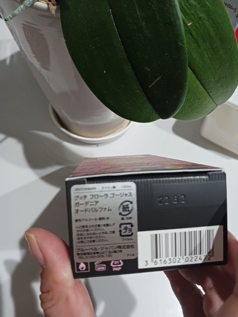 GUCCI FLORA GORGEOUS GARDENIA 香水