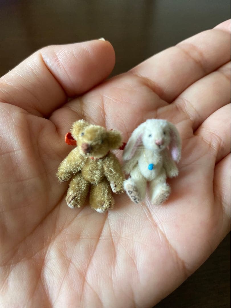 タイニーテディベアと白うさぎ