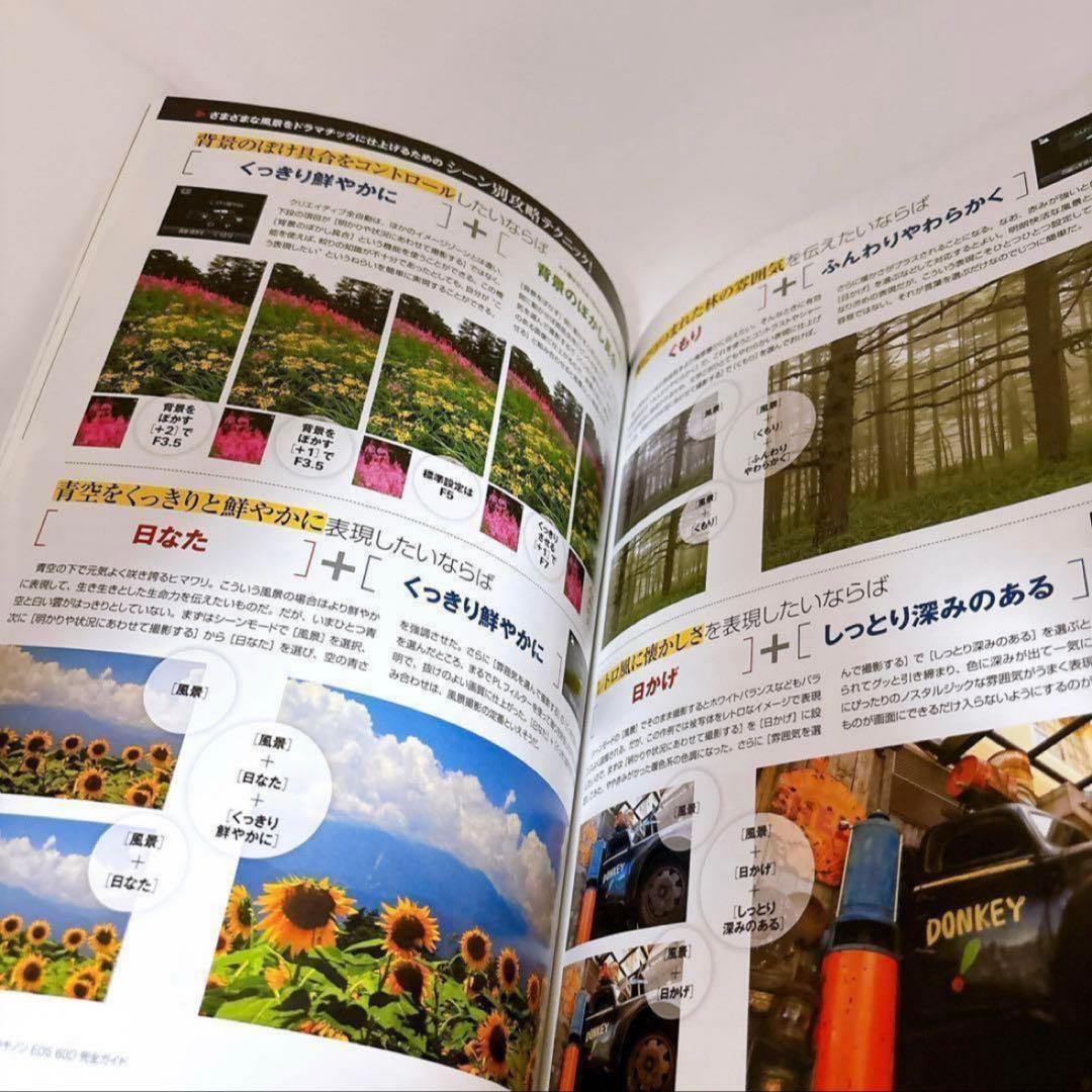 Canon EOS 60D 美品　スタートセット　スマホ転送ok 高速連写