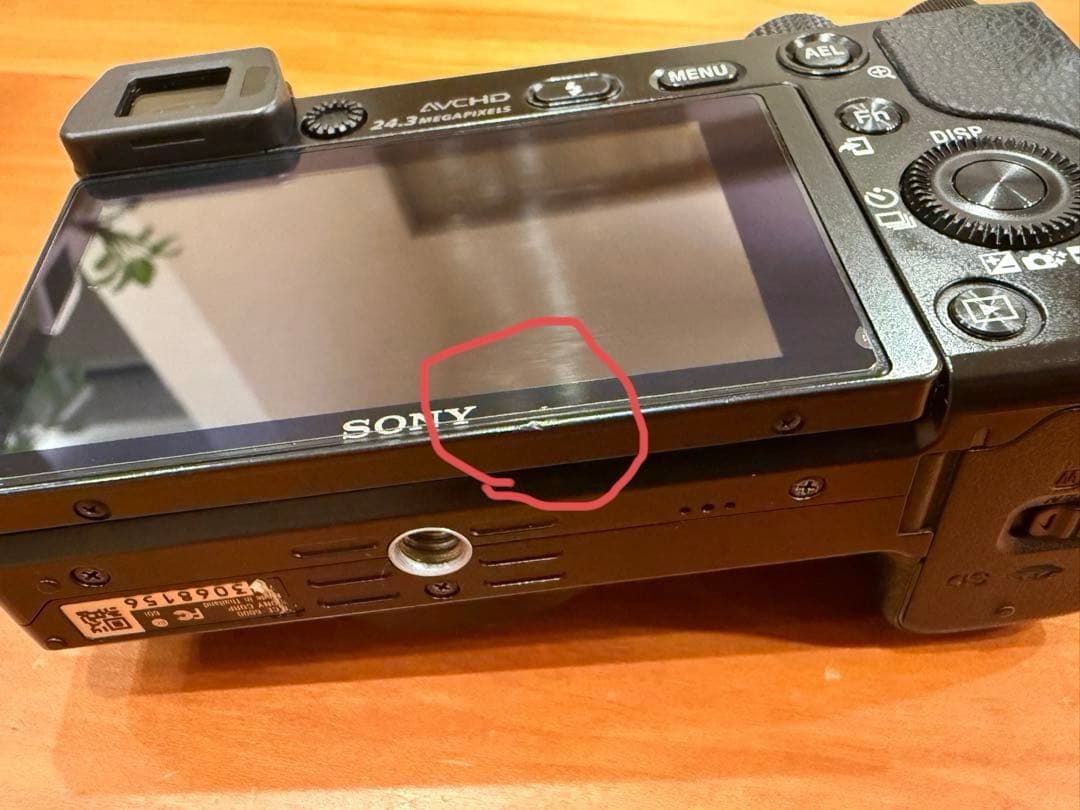【撮影枚数5800】SONYα6000 ズームレンズ2本セット