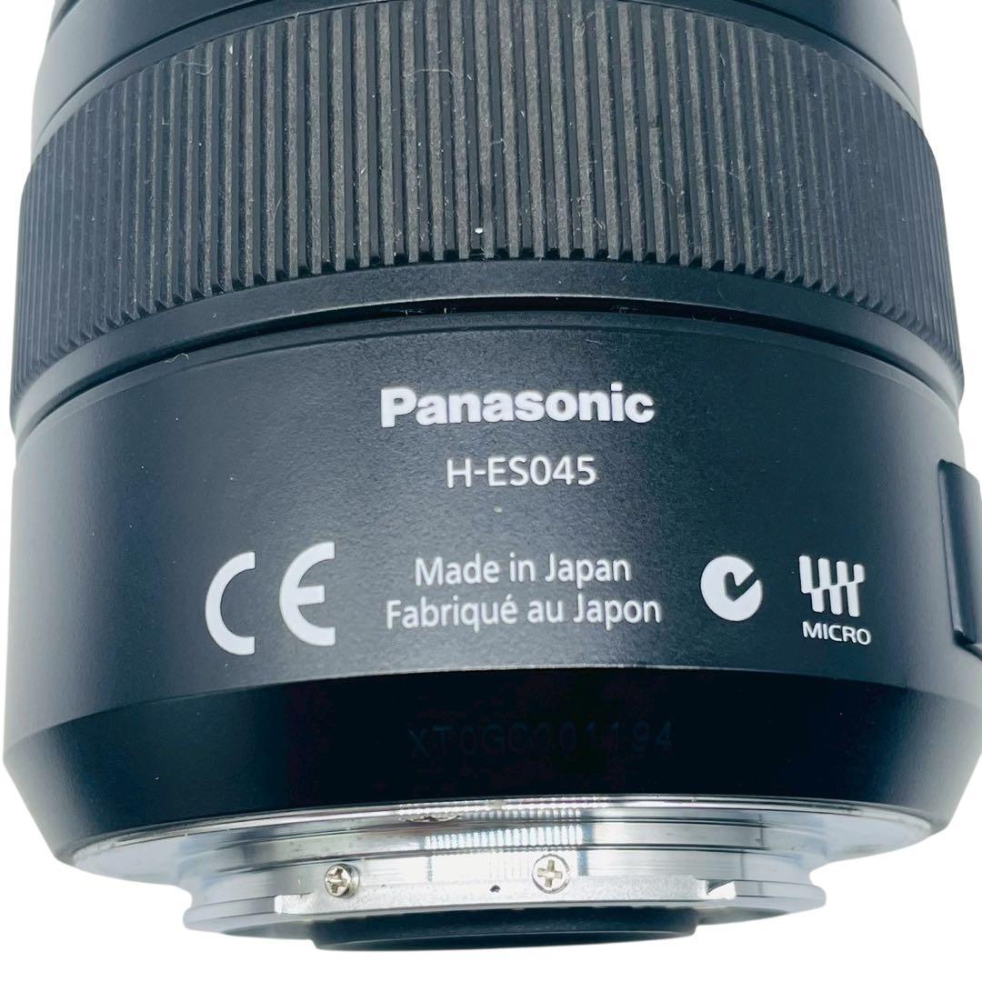 ライカ DG MACRO-ELMARIT 45mm F2.8 H-ES045