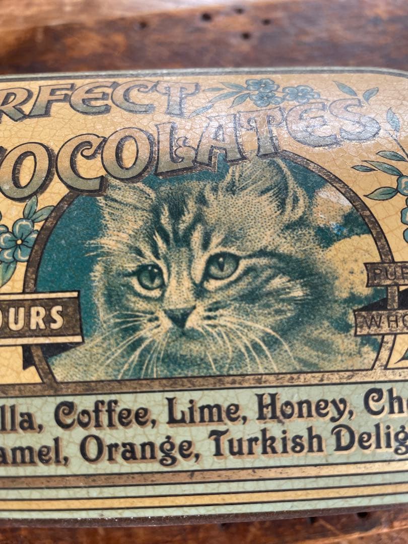 かわいい猫のチョコレート缶