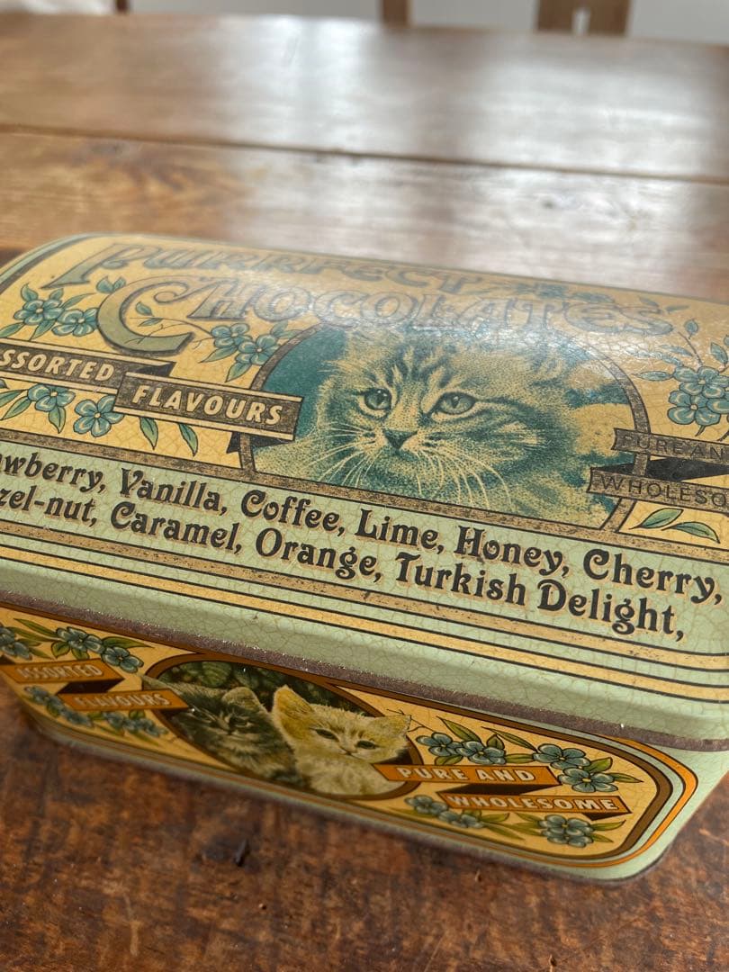 かわいい猫のチョコレート缶