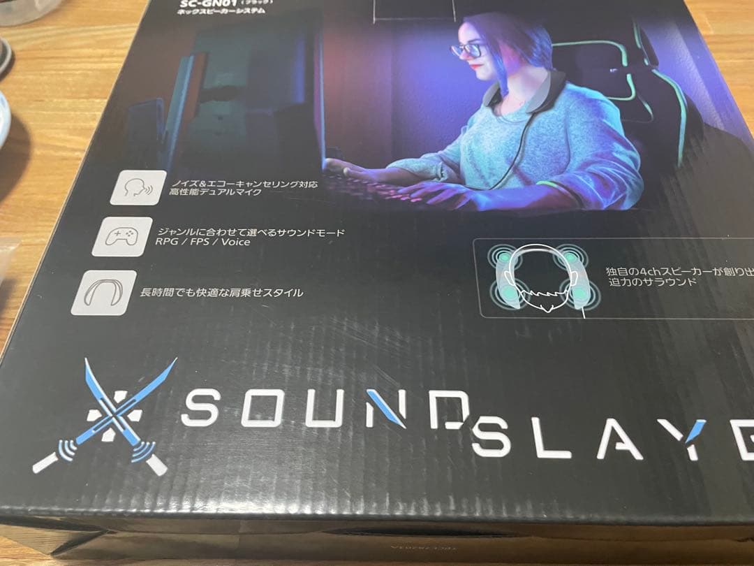 ヘッドホン Panasonic SC-GN01