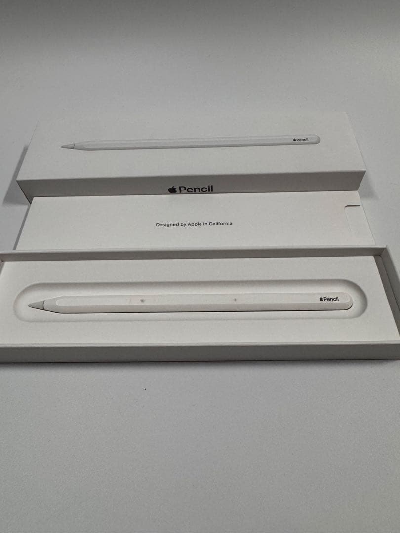 iPad Pro (12.9”) 第3世代 1TB WiFi+Cellular