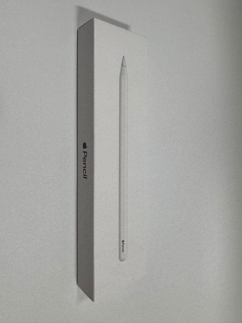 iPad Pro (12.9”) 第3世代 1TB WiFi+Cellular