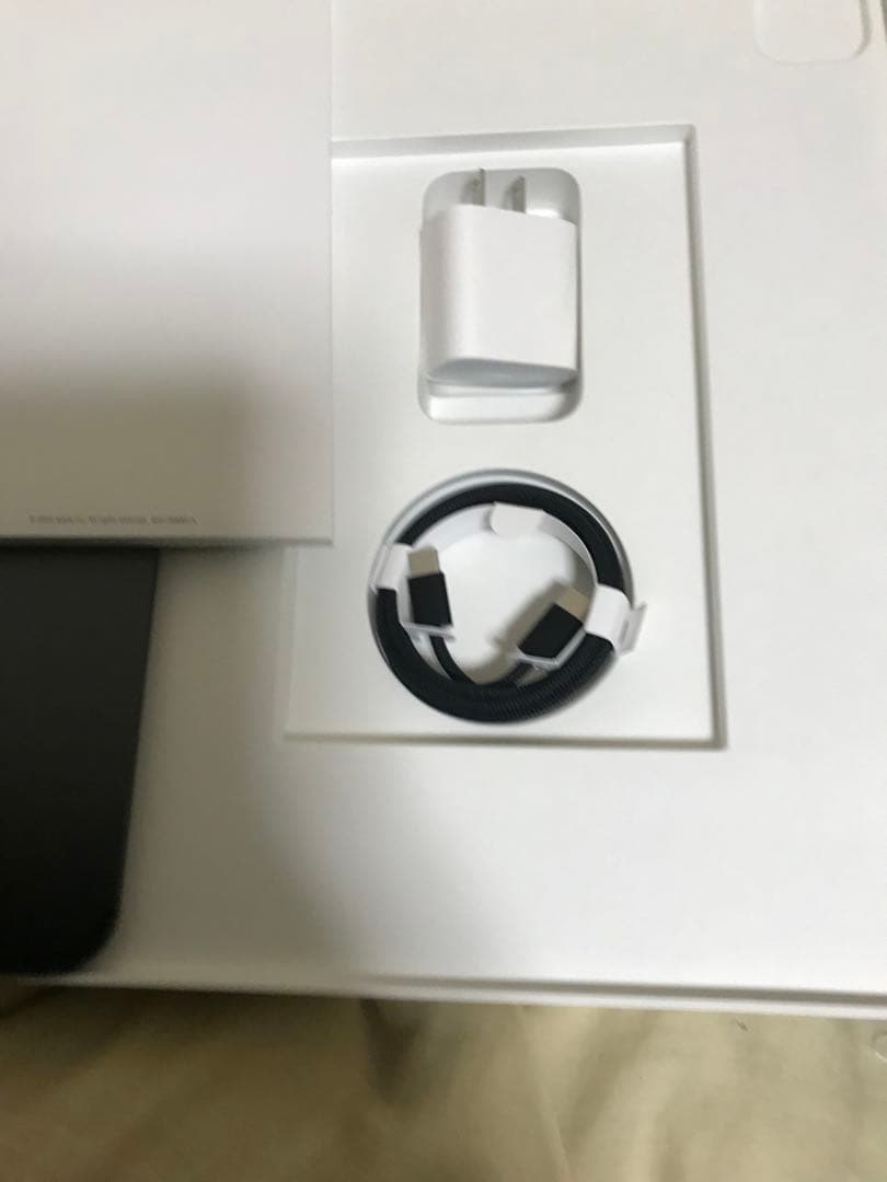 iPad Pro 13インチsimフリー　2TB