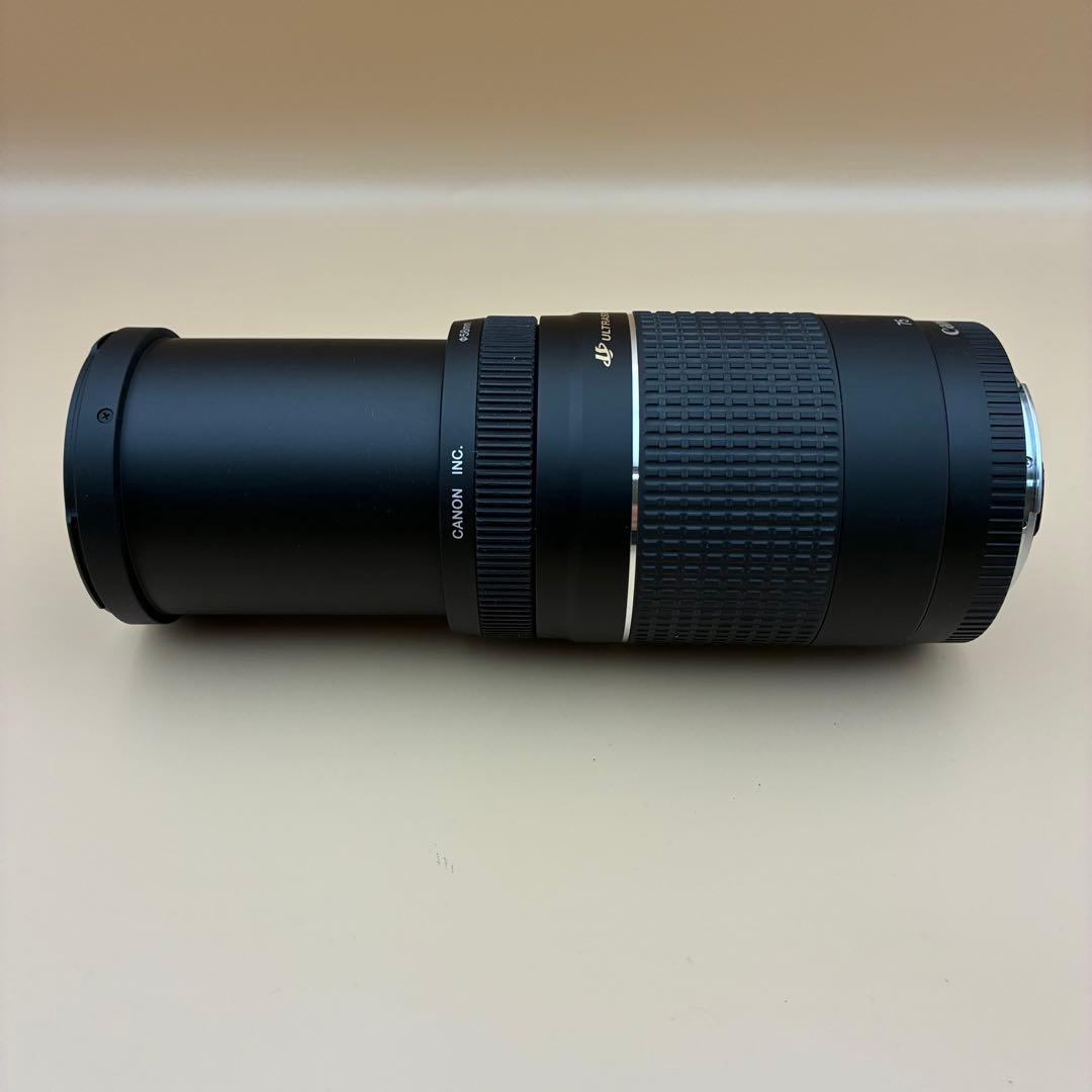 ★美品★ Canon EF 75-300mm iii USM 望遠 キヤノン
