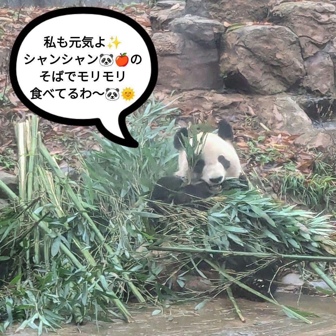 2025年☆明けましておめでとうございます☆