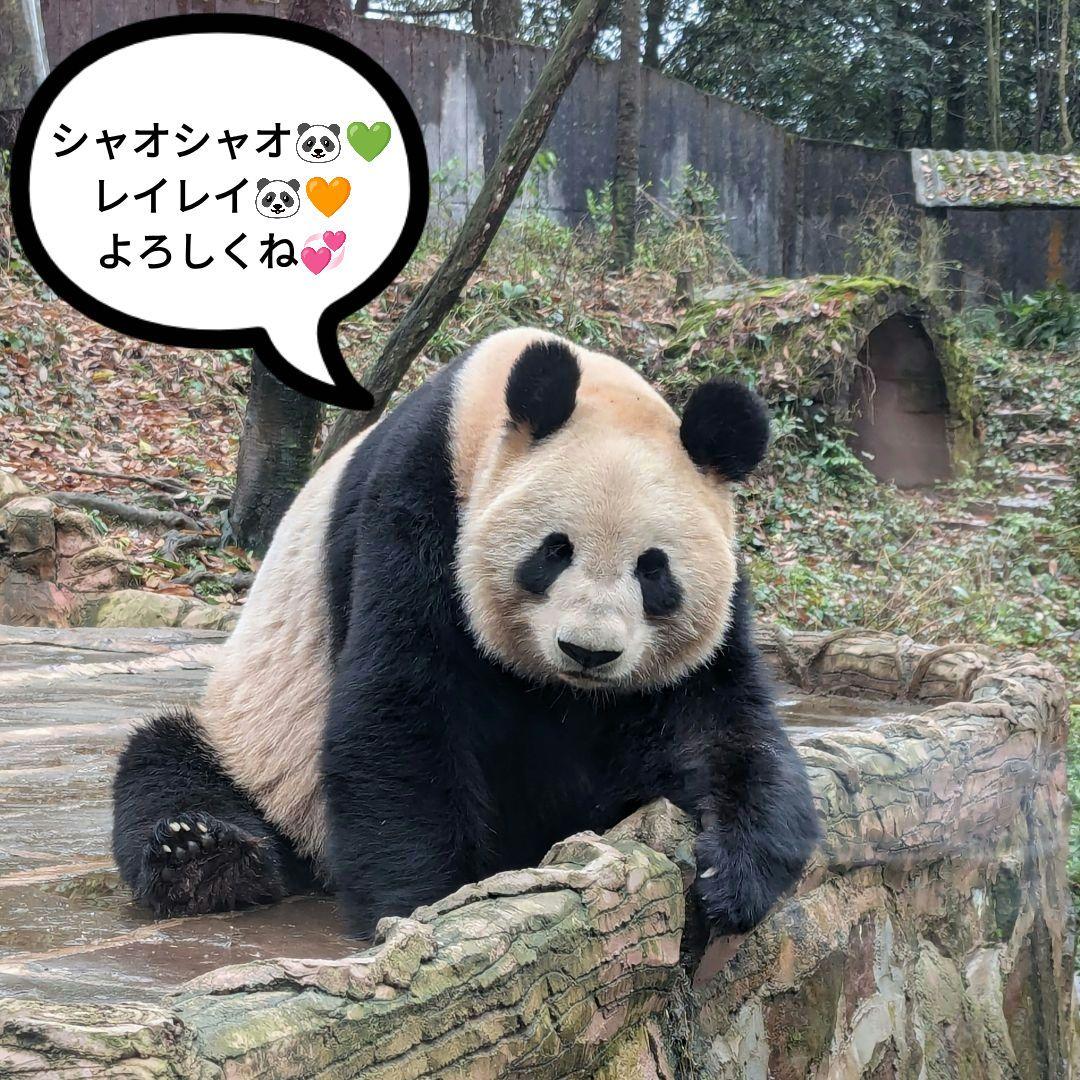 2025年☆明けましておめでとうございます☆