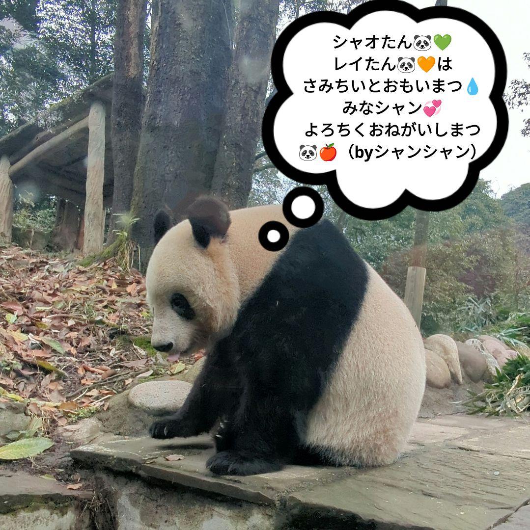 2025年☆明けましておめでとうございます☆