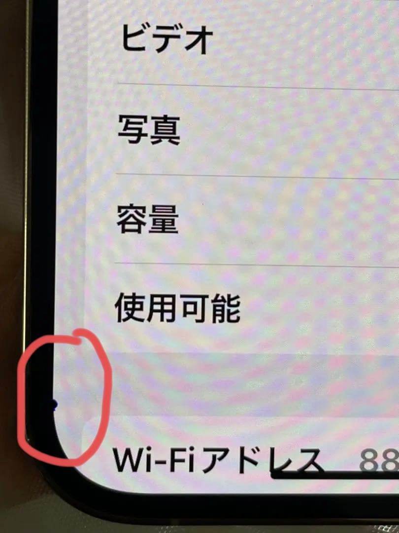 Apple iPhone 13 Pro Maxゴールド+AppleCare
