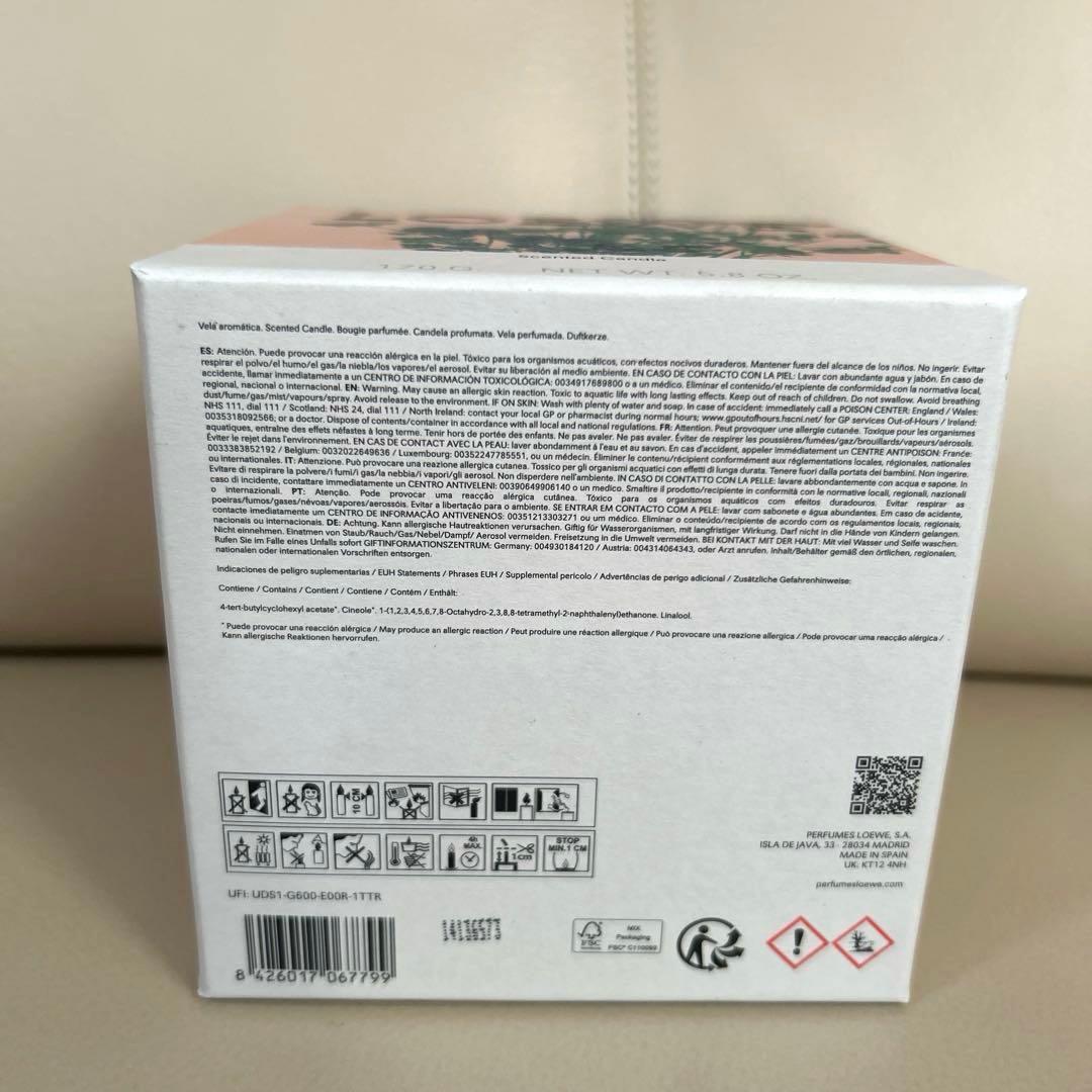 LOEWE Scented Candle オレガノ 170g