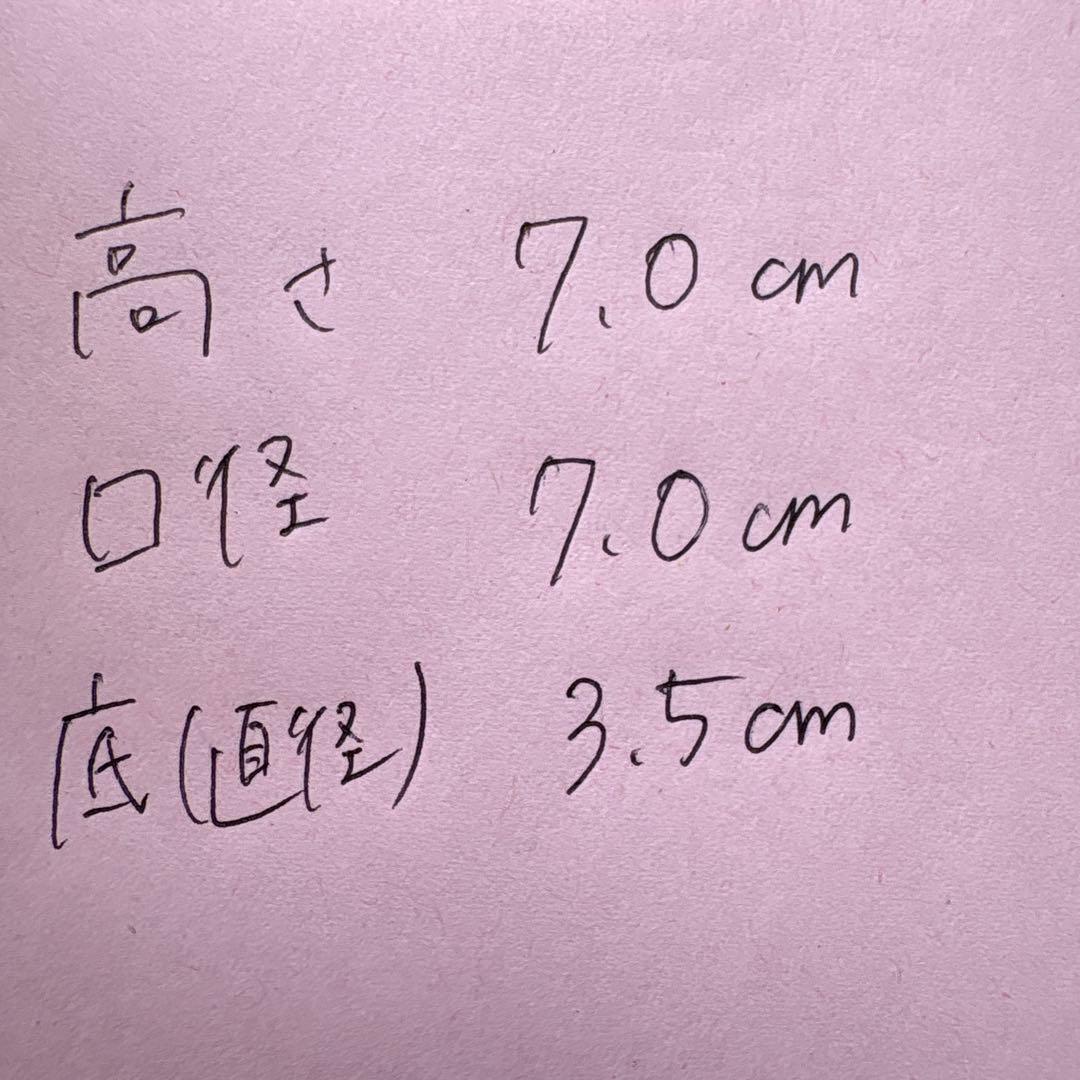 湯呑み　『十一代　大和松雁 造』　共箱　茶道具