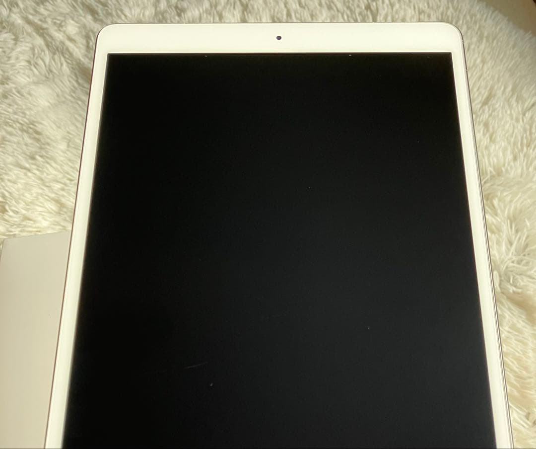 【完動品】iPad Pro 10.5 256GB 【即発送】【付属品】