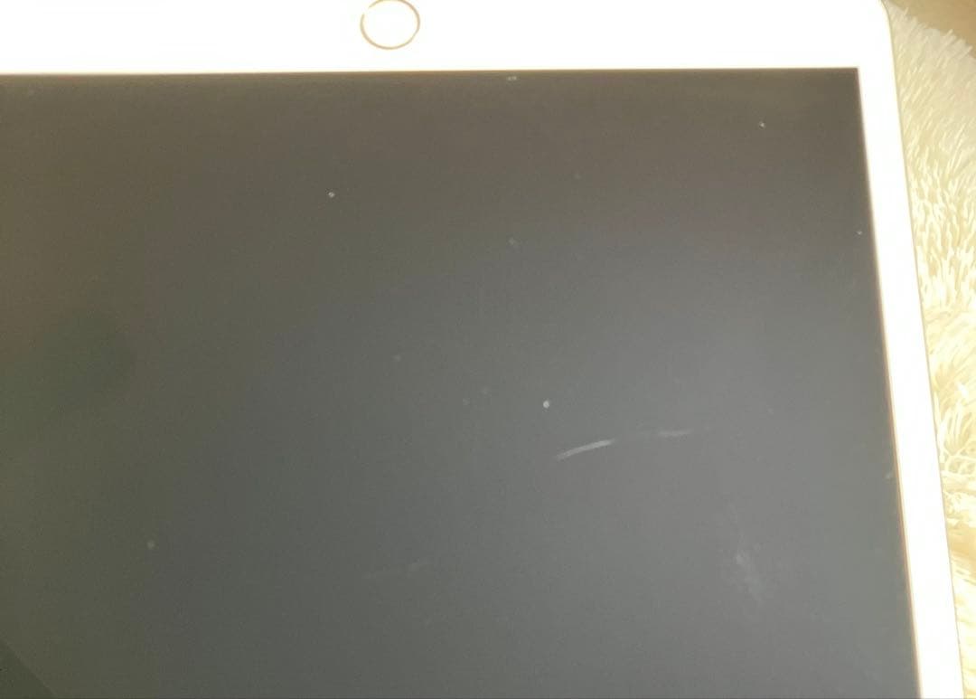 【完動品】iPad Pro 10.5 256GB 【即発送】【付属品】